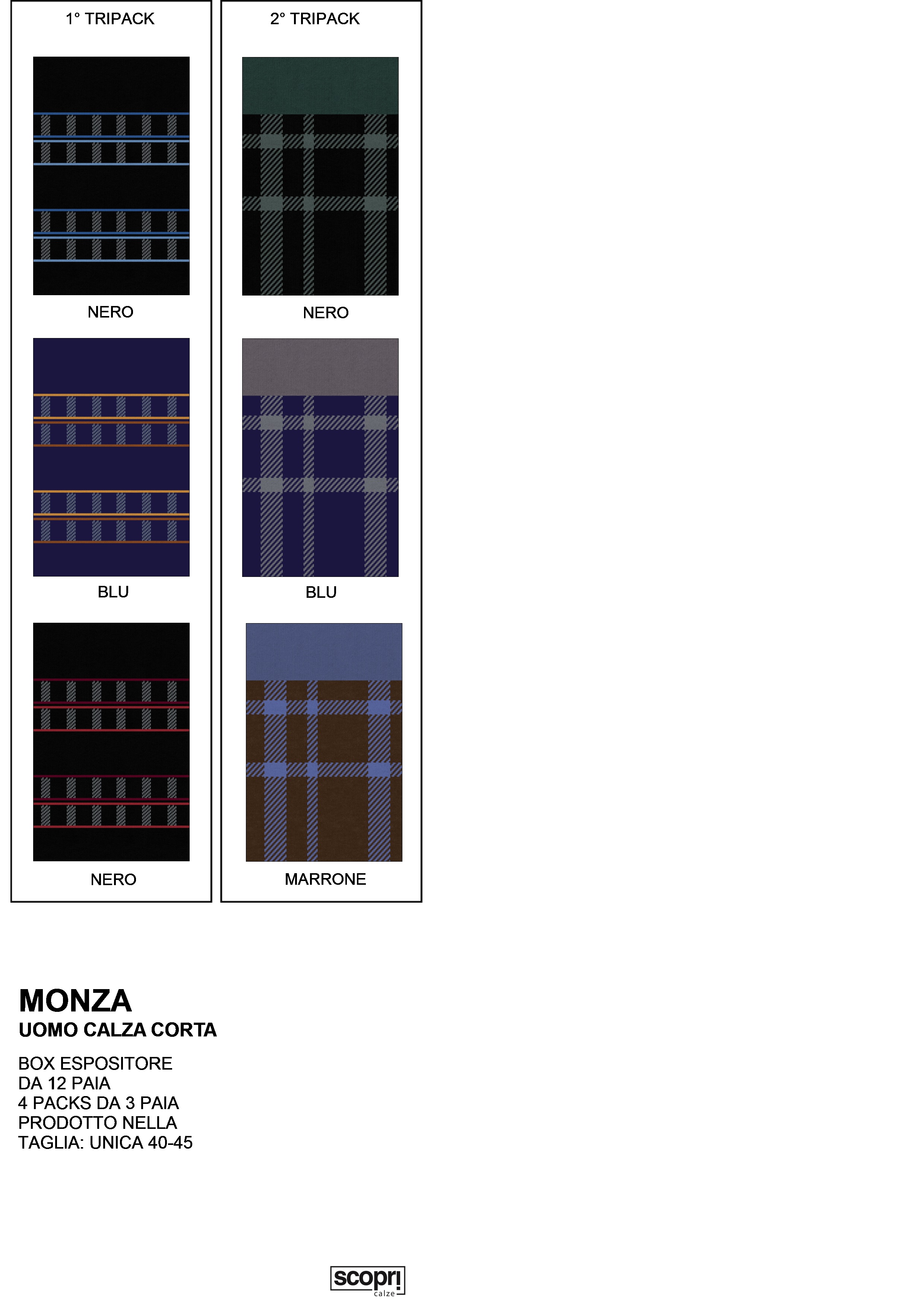 scopri monza