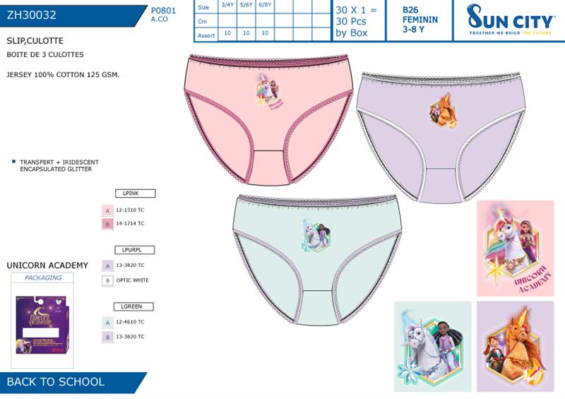 Academia Unicornio 62 ZH30032